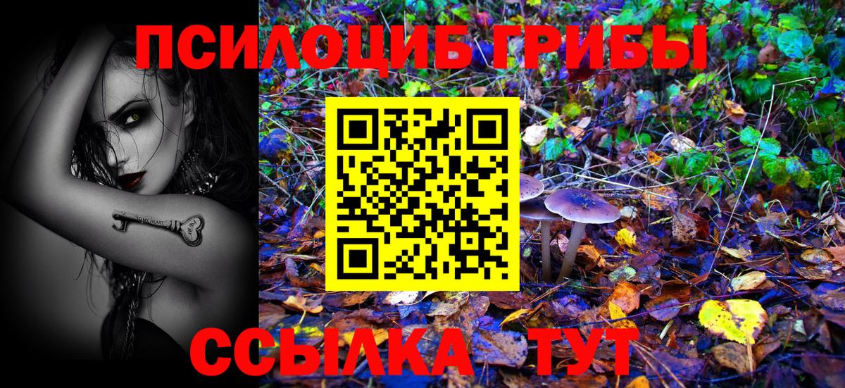 Галлюциногенные грибы Psilocybine cubensis  Вход с VPN  Бийск 