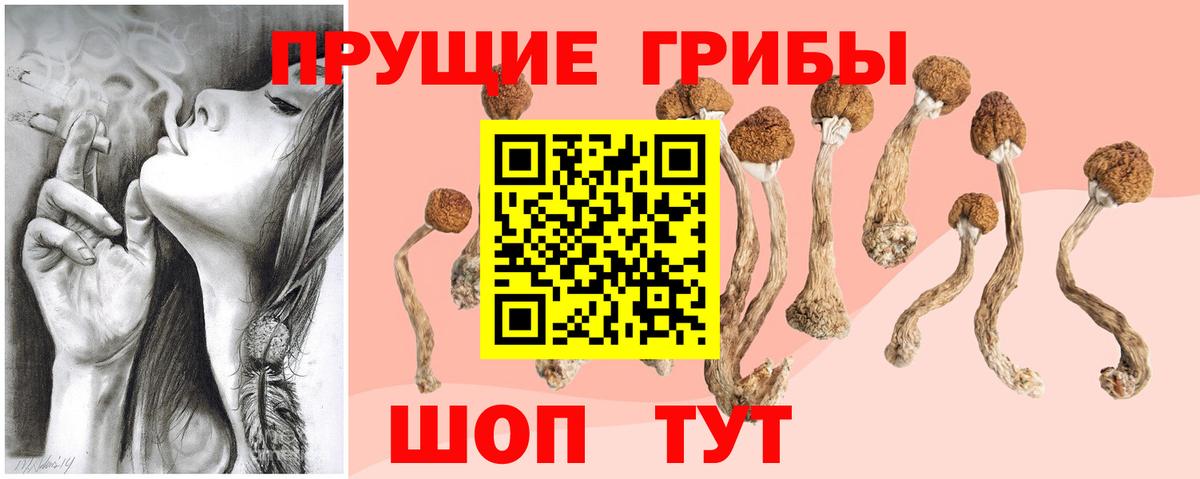 Галлюциногенные грибы MAGIC MUSHROOMS Бийск
